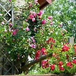 Maison En Pierre, Piscine Privée - 2 Pers. - Fr-1-616-556 Hébergement de vacances
