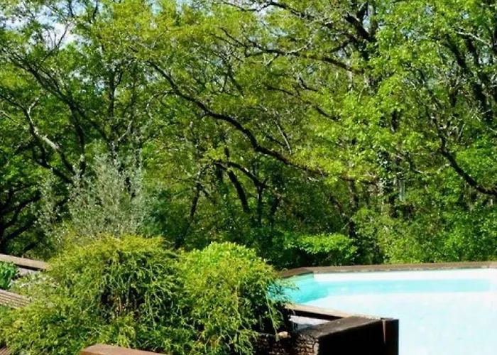 Maison En Pierre, Piscine Privee - 2 Pers. - Fr-1-616-556 Aubas